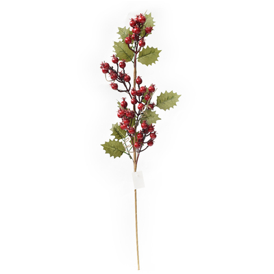 RED AND GREEN BERRY PICK